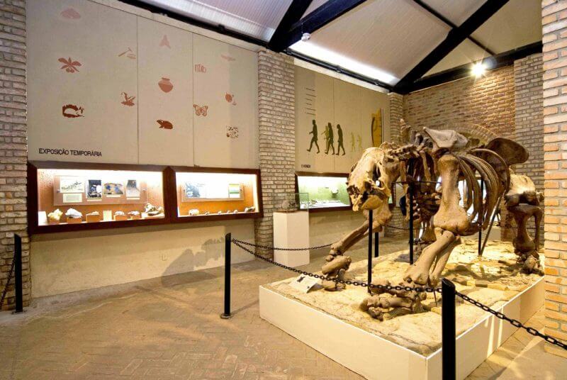 Museu de História Natural da UFMG em Belo Horizonte