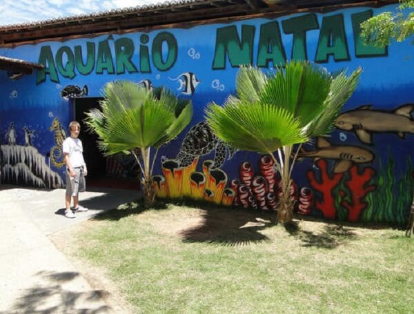 Aquário Natal em Natal - 2024 | Dicas incríveis!